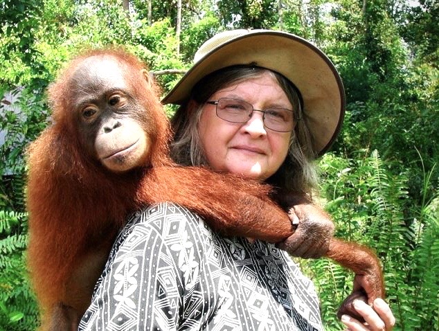 You’ll travel in the rainforests of Borneo, Indonesia with author Rozanne Weissman AND Dr Birute Mary Galdikas, world’s leading primatologist on orangutans. Look how that orangutan loves 💕 her...