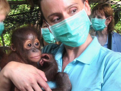 10-img_0187 Person holding baby orangutan