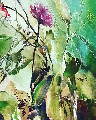 Color inspiration from nature